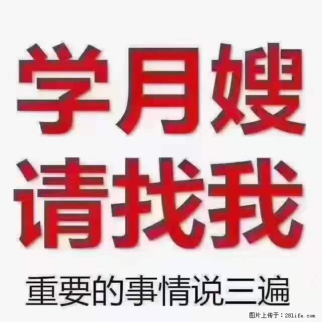 为什么要学习月嫂,育婴师? - 其他广告 - 广告专区 - 嘉峪关分类信息 - 嘉峪关28生活网 jyg.28life.com