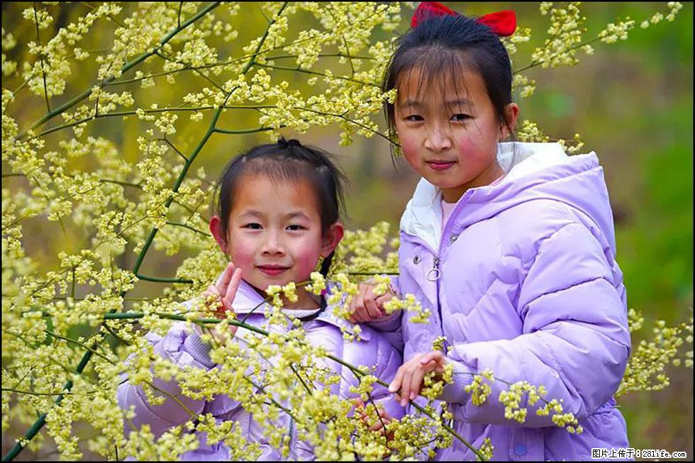 【春天，广西桂林灌阳县向您发出邀请！】米珠山前有片山苍子花在飘香 - 游山玩水 - 嘉峪关生活社区 - 嘉峪关28生活网 jyg.28life.com