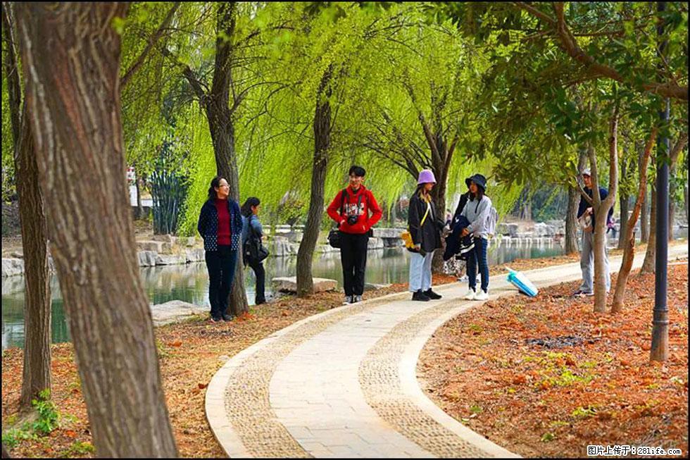 【春天,广西桂林灌阳县向您发出邀请!】江口老街又逢春 - 游山玩水 - 嘉峪关生活社区 - 嘉峪关28生活网 jyg.28life.com