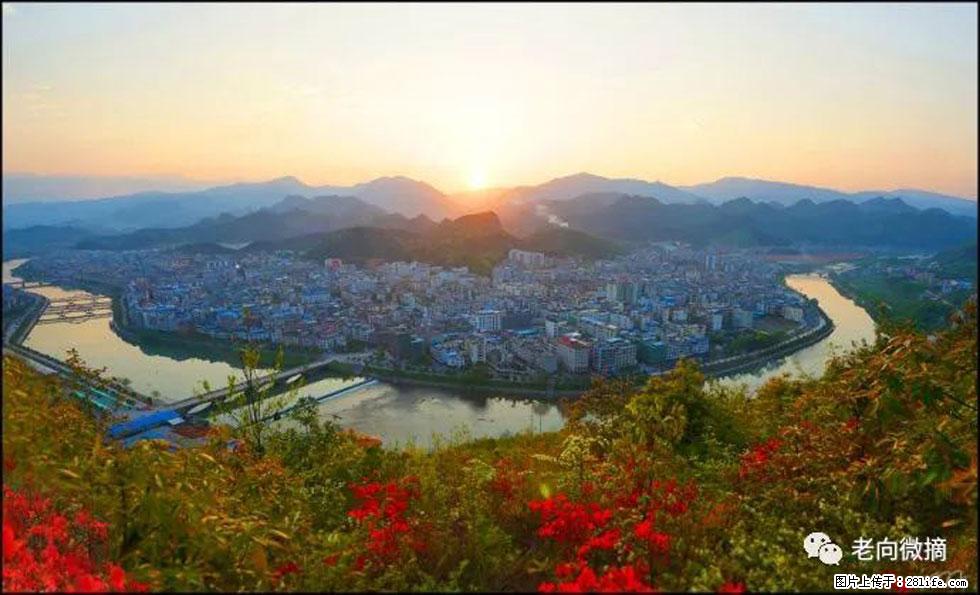 【春天,广西桂林灌阳县向您发出邀请!】登麒麟山,相约映山红 - 游山玩水 - 嘉峪关生活社区 - 嘉峪关28生活网 jyg.28life.com