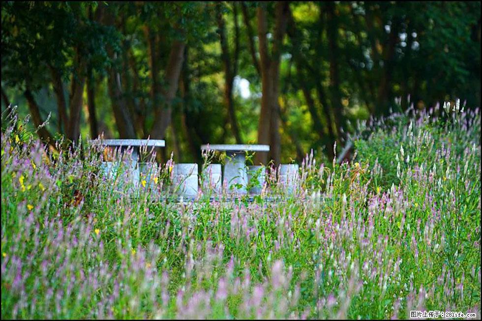 【春天，广西桂林灌阳县向您发出邀请！】熊家寨湿地公园 - 游山玩水 - 嘉峪关生活社区 - 嘉峪关28生活网 jyg.28life.com