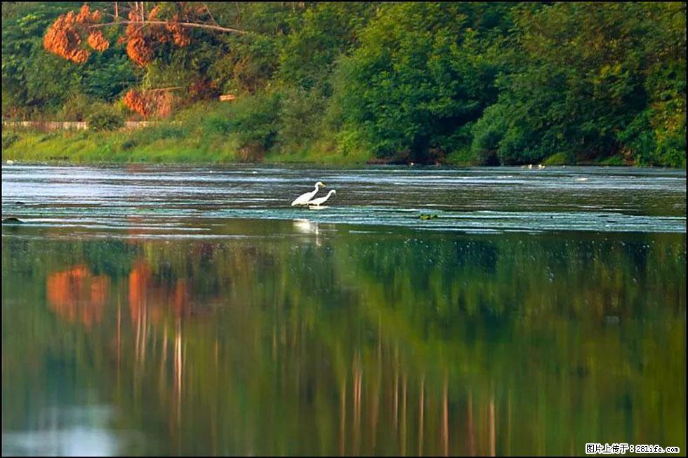 【春天，广西桂林灌阳县向您发出邀请！】熊家寨湿地公园 - 游山玩水 - 嘉峪关生活社区 - 嘉峪关28生活网 jyg.28life.com