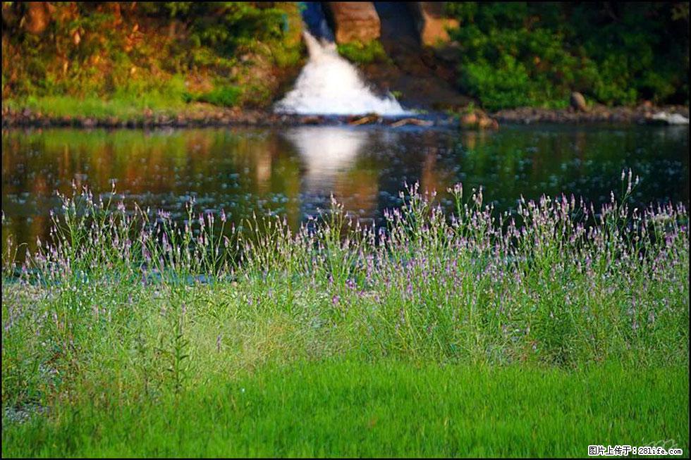 【春天，广西桂林灌阳县向您发出邀请！】熊家寨湿地公园 - 游山玩水 - 嘉峪关生活社区 - 嘉峪关28生活网 jyg.28life.com