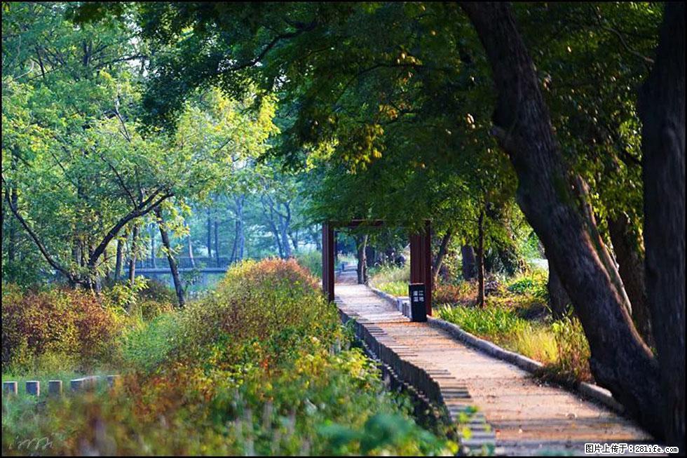 【春天，广西桂林灌阳县向您发出邀请！】熊家寨湿地公园 - 游山玩水 - 嘉峪关生活社区 - 嘉峪关28生活网 jyg.28life.com