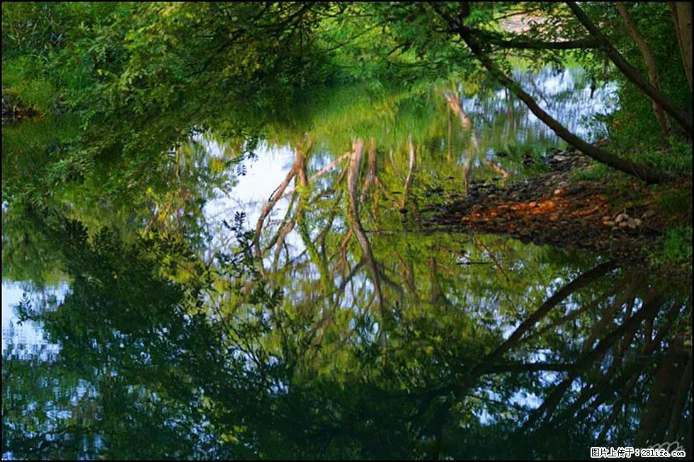 【春天，广西桂林灌阳县向您发出邀请！】熊家寨湿地公园 - 游山玩水 - 嘉峪关生活社区 - 嘉峪关28生活网 jyg.28life.com