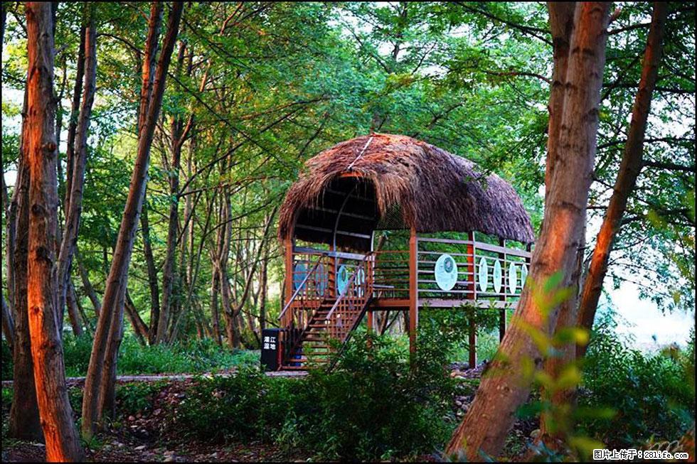 【春天，广西桂林灌阳县向您发出邀请！】熊家寨湿地公园 - 游山玩水 - 嘉峪关生活社区 - 嘉峪关28生活网 jyg.28life.com