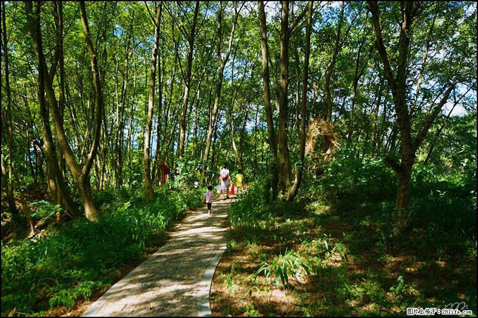 【春天，广西桂林灌阳县向您发出邀请！】熊家寨湿地公园 - 游山玩水 - 嘉峪关生活社区 - 嘉峪关28生活网 jyg.28life.com