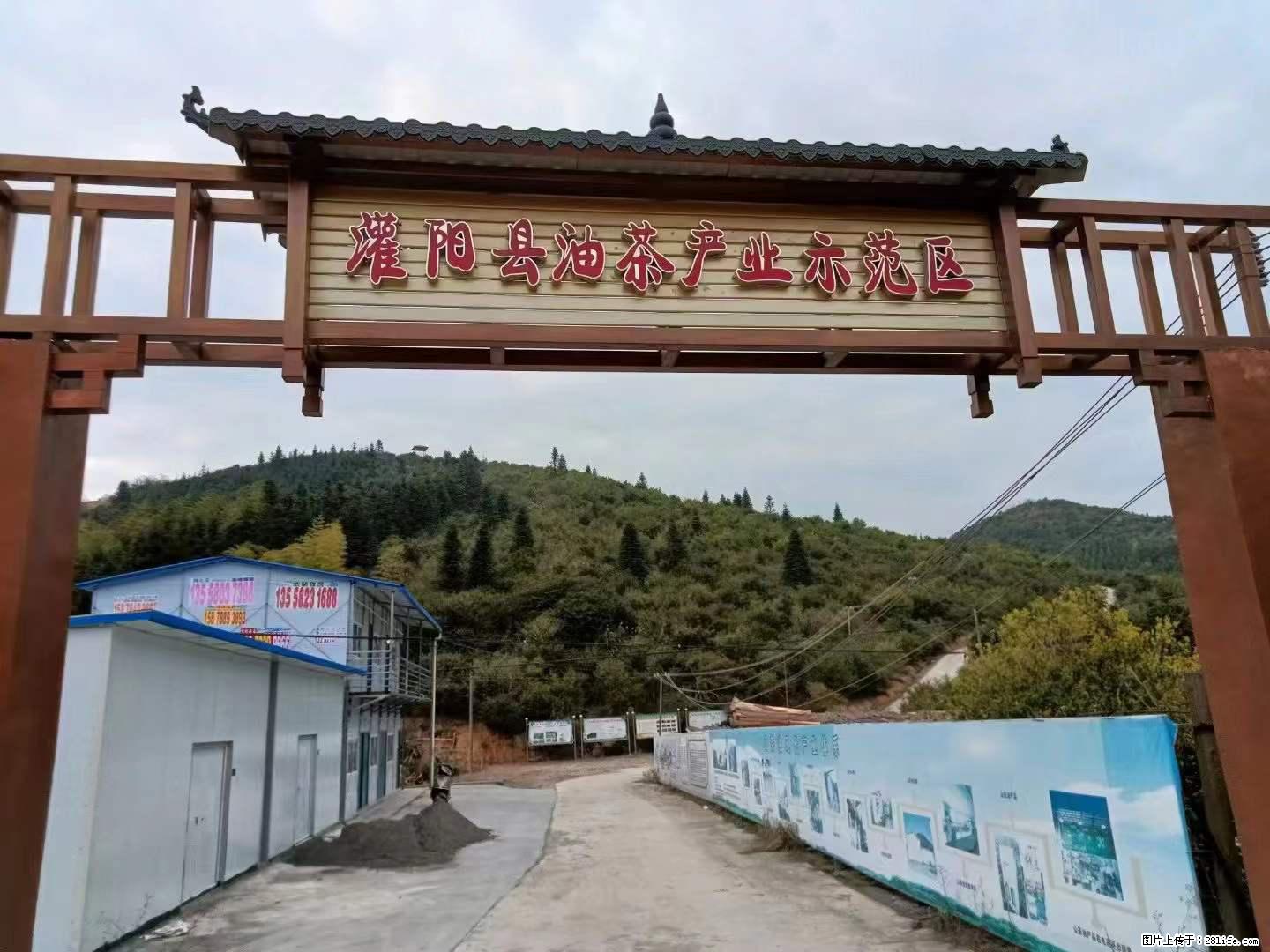 【灌阳县油茶产业示范区】一个有着充实的精神生活的人,对待身外之物自会有一种淡泊的态度 - 美食天地 - 嘉峪关生活社区 - 嘉峪关28生活网 jyg.28life.com