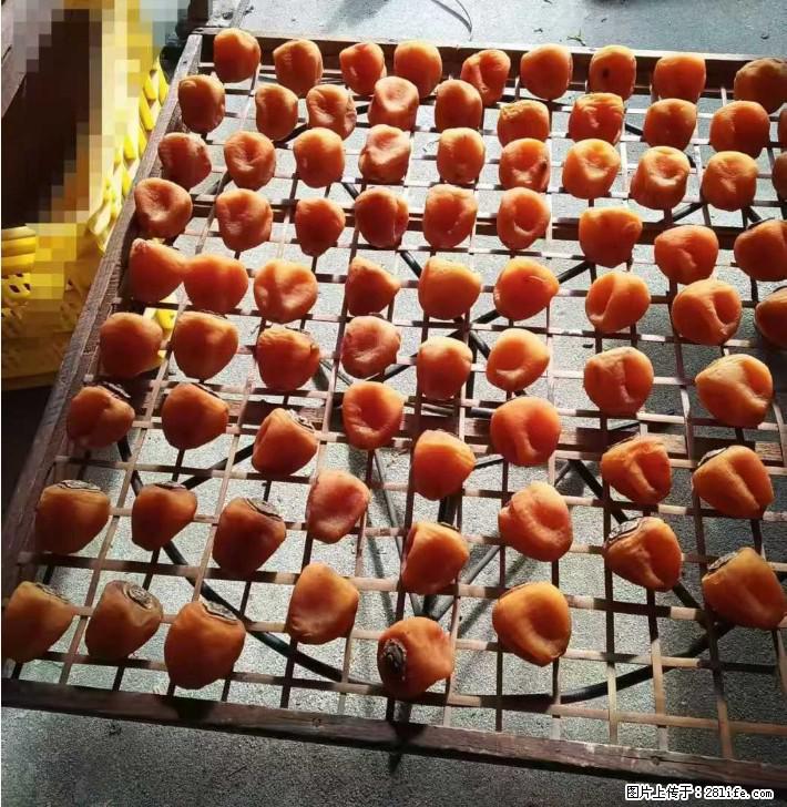 广西桂林平乐桥亭【柿饼之乡】2025年纯手工制作、无任何添加剂的第一批柿饼准备上市了,欢迎联系订购! - 美食天地 - 嘉峪关生活社区 - 嘉峪关28生活网 jyg.28life.com