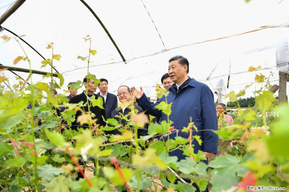习近平赴广西考察调研 - 嘉峪关生活资讯 - 嘉峪关28生活网 jyg.28life.com
