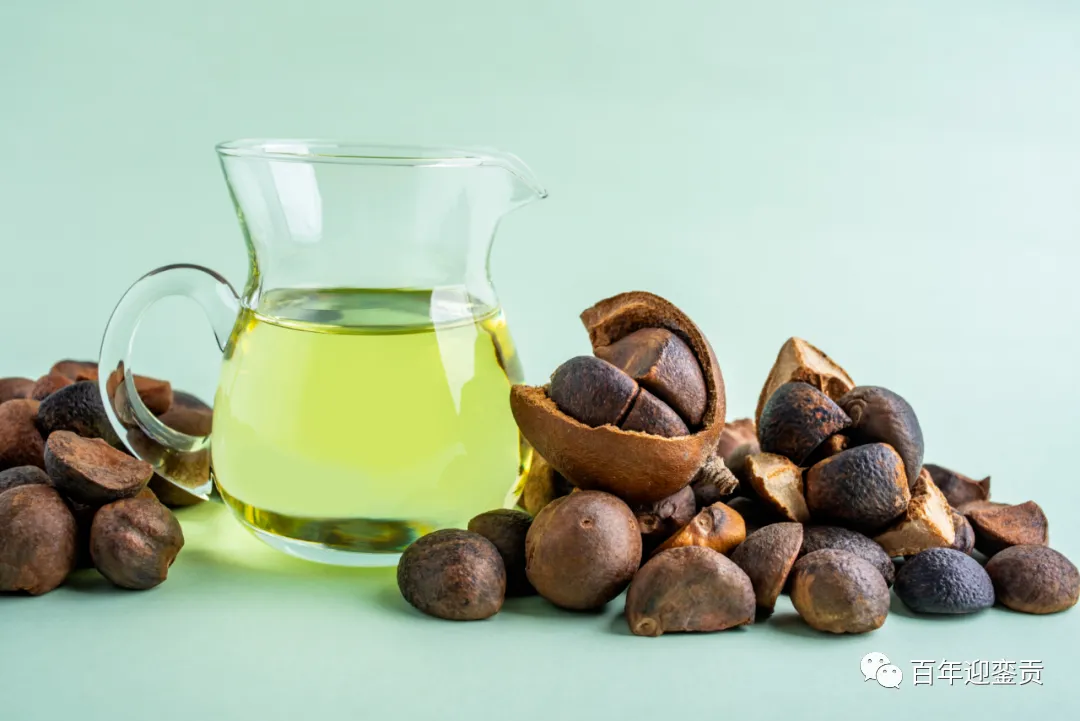 世界没有真相，只有认知，最好的食用油是中国的山茶油！ - 嘉峪关生活资讯 - 嘉峪关28生活网 jyg.28life.com