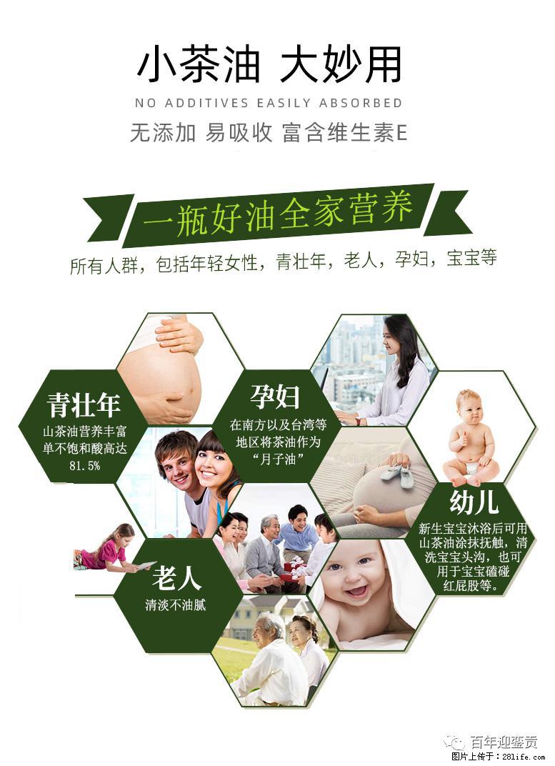 世界没有真相，只有认知，最好的食用油是中国的山茶油！ - 嘉峪关生活资讯 - 嘉峪关28生活网 jyg.28life.com