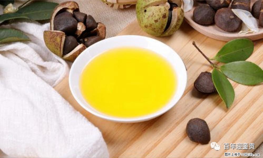 世界没有真相，只有认知，最好的食用油是中国的山茶油！ - 嘉峪关生活资讯 - 嘉峪关28生活网 jyg.28life.com