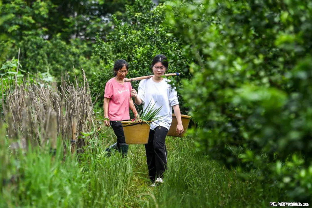 全网追的“扁担女孩”,找了一份暑假工,时薪12元 - 嘉峪关生活资讯 - 嘉峪关28生活网 jyg.28life.com