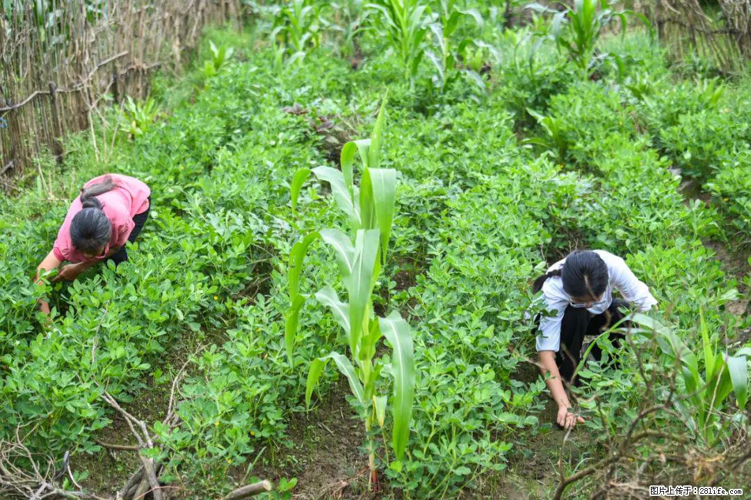 全网追的“扁担女孩”,找了一份暑假工,时薪12元 - 嘉峪关生活资讯 - 嘉峪关28生活网 jyg.28life.com