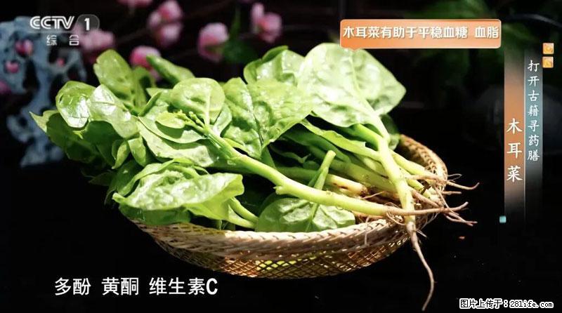 比牛奶补钙还厉害!凉血解毒、稳血糖...这菜冬天必吃,很多人却当草 - 嘉峪关生活资讯 - 嘉峪关28生活网 jyg.28life.com