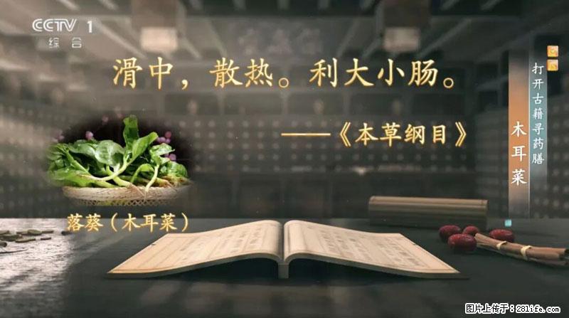 比牛奶补钙还厉害!凉血解毒、稳血糖...这菜冬天必吃,很多人却当草 - 嘉峪关生活资讯 - 嘉峪关28生活网 jyg.28life.com