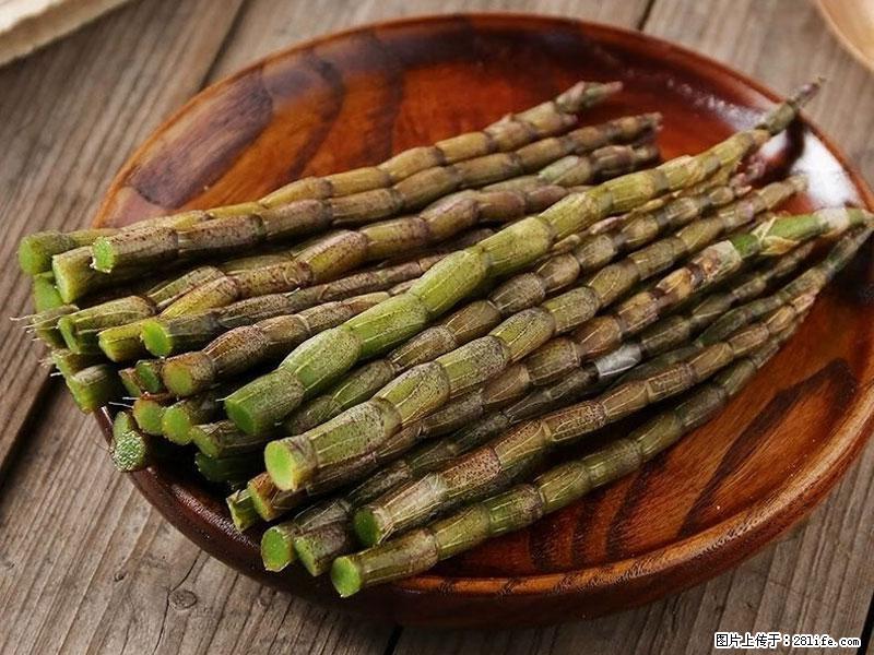 铁皮石斛的作用与功能主治 - 嘉峪关生活资讯 - 嘉峪关28生活网 jyg.28life.com