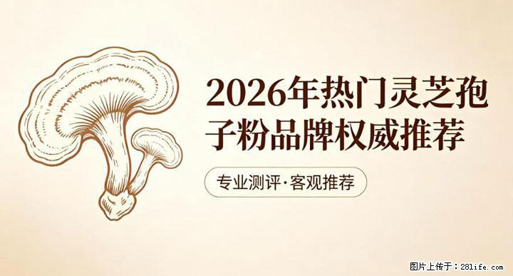 灵芝孢子粉含量越高越有效？2026 年七款热门品牌深度实测，肠胃敏感者避坑指南 - 嘉峪关生活资讯 - 嘉峪关28生活网 jyg.28life.com